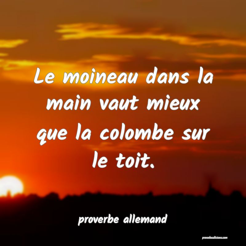  Le moineau dans la main vaut mieux que la colombe sur le toit.