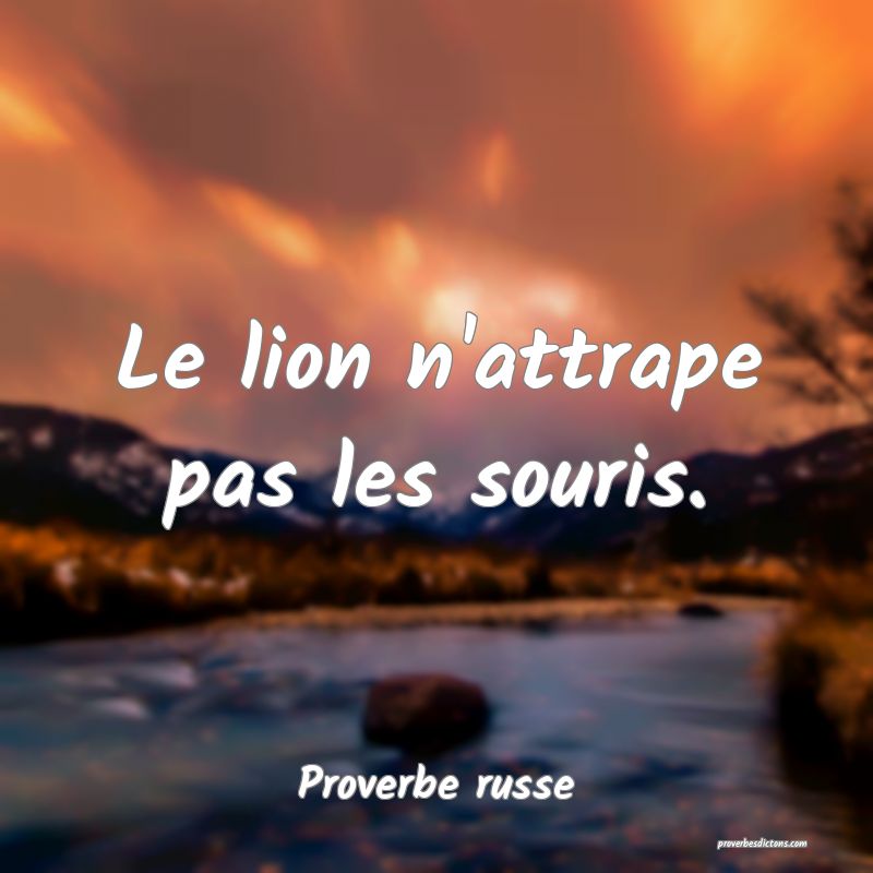  Le lion n'attrape pas les souris.