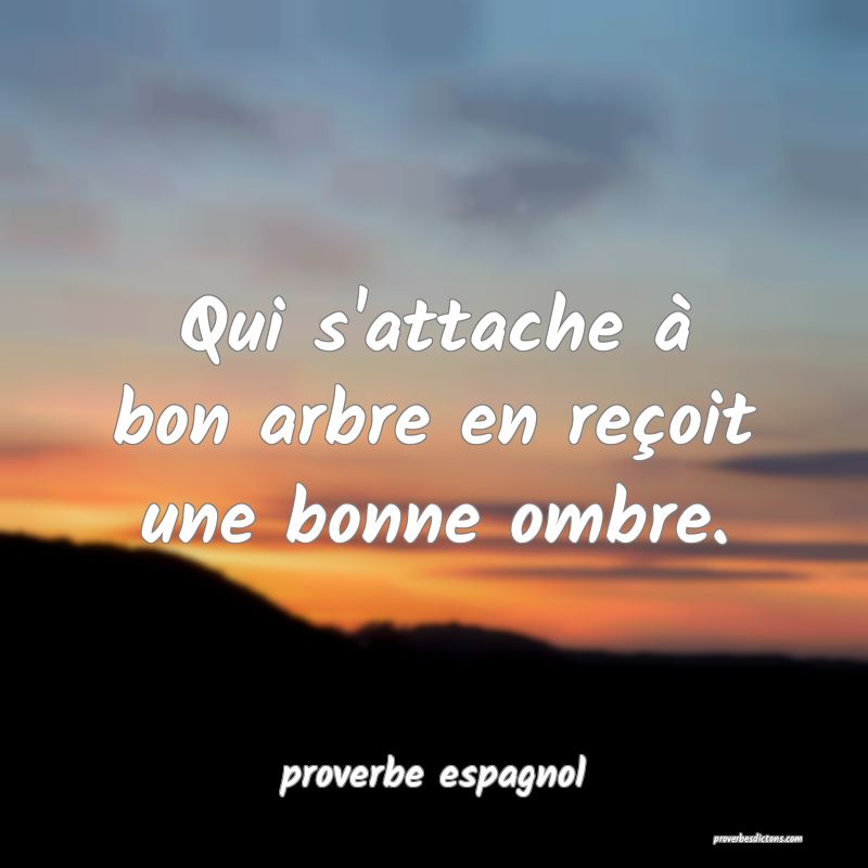  Qui s'attache à bon arbre en reçoit une bonne ombre.
