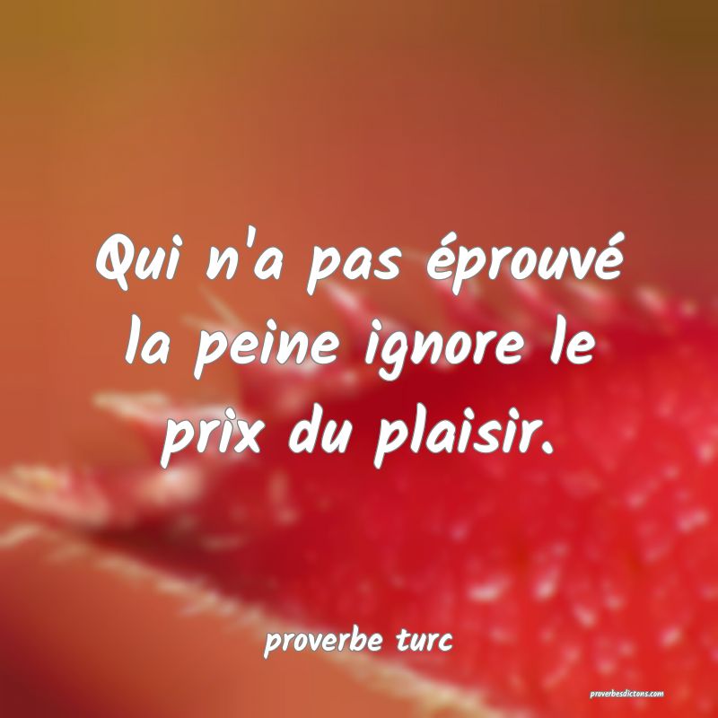  Qui n'a pas éprouvé la peine ignore le prix du plaisir.