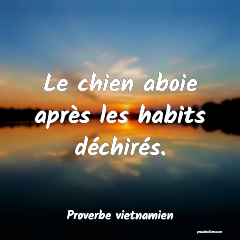  Le chien aboie après les habits déchirés.