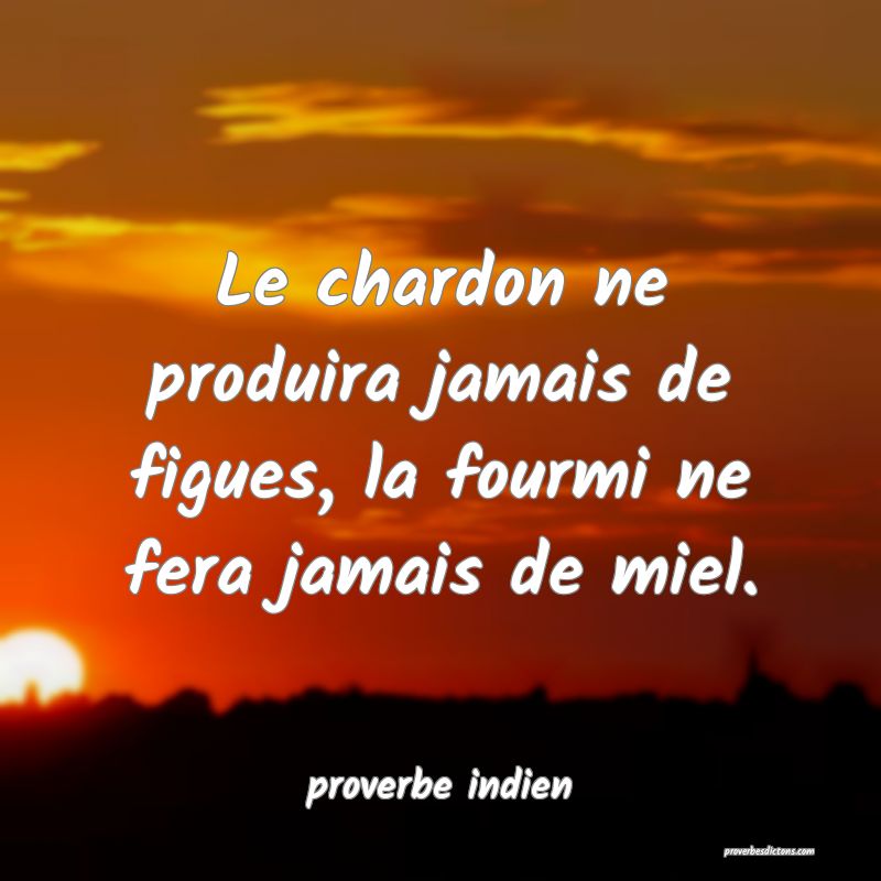  Le chardon ne produira jamais de figues, la fourmi ne fera jamais de miel.