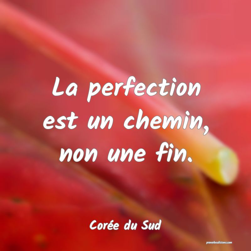  La perfection est un chemin, non une fin.
