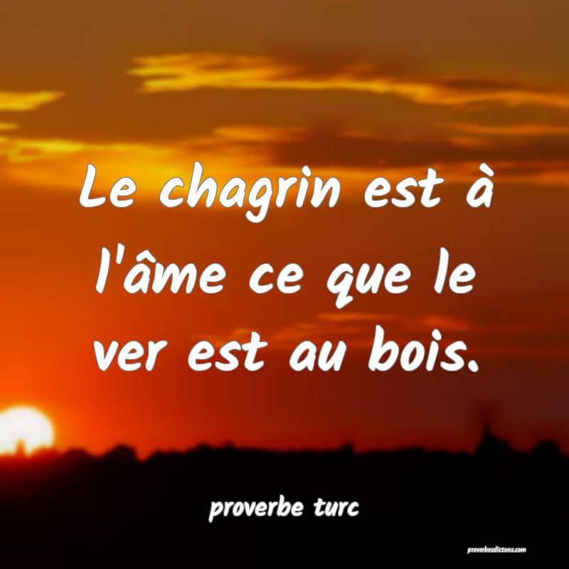  Le chagrin est à l'âme ce que le ver est au bois.