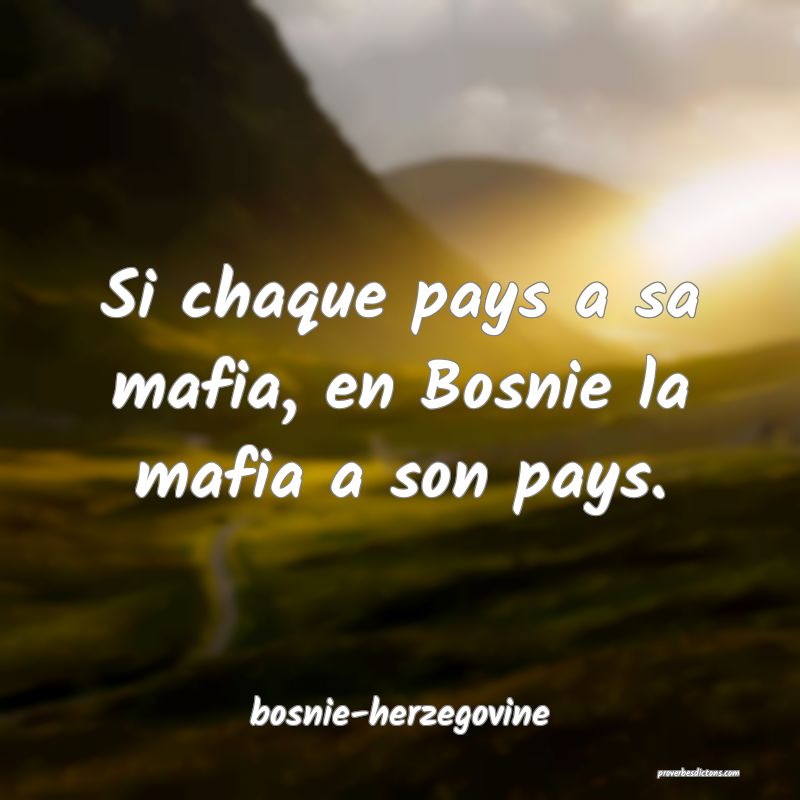  Si chaque pays a sa mafia, en Bosnie la mafia a son pays.
