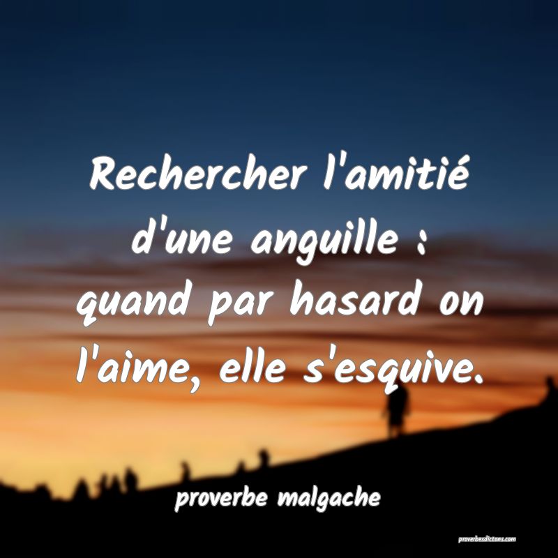 Rechercher l'amitié d'une anguille : quand par hasard on l'aime, elle s'esquive.