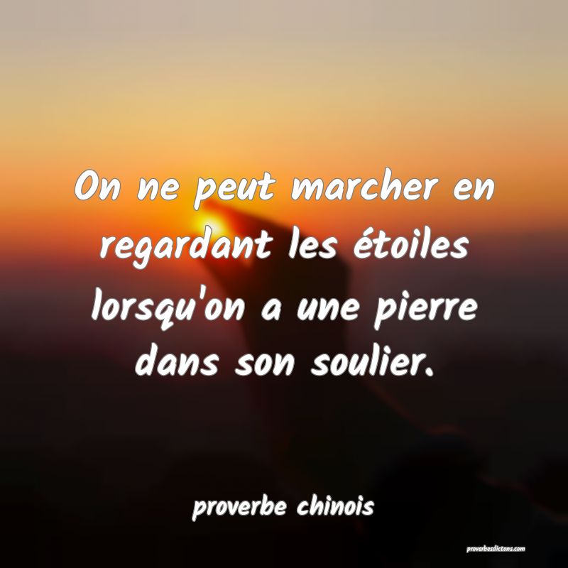  On ne peut marcher en regardant les étoiles lorsqu'on a une pierre dans son soulier.