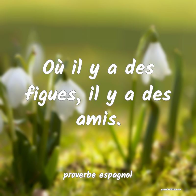  Où il y a des figues, il y a des amis.