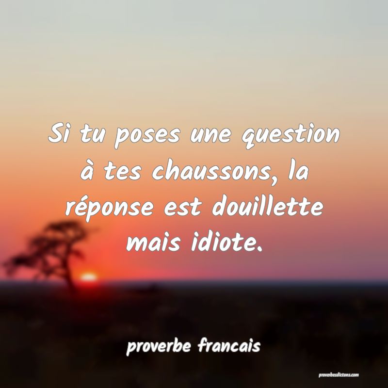  Si tu poses une question à tes chaussons, la réponse est douillette mais idiote.
