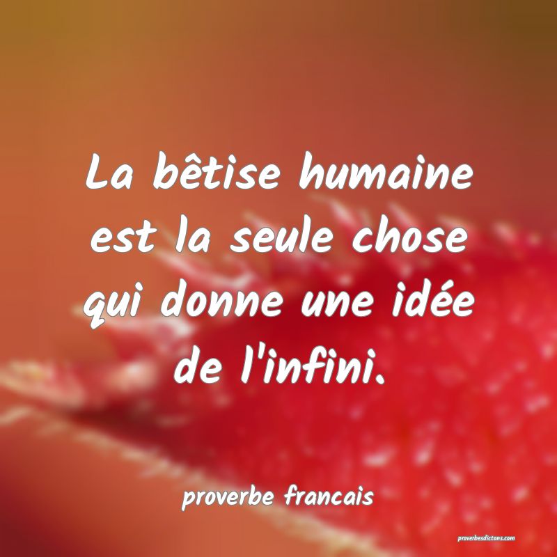  La bêtise humaine est la seule chose qui donne une idée de l'infini.