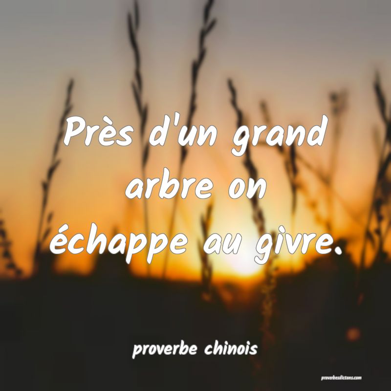  Près d'un grand arbre on échappe au givre.