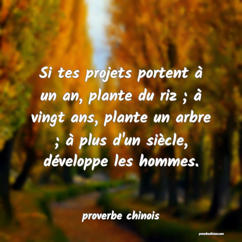  Si tes projets portent à un an, plante du riz ; à vingt ans, plante un arbre ; à plus d'un siècle, développe les hommes.
