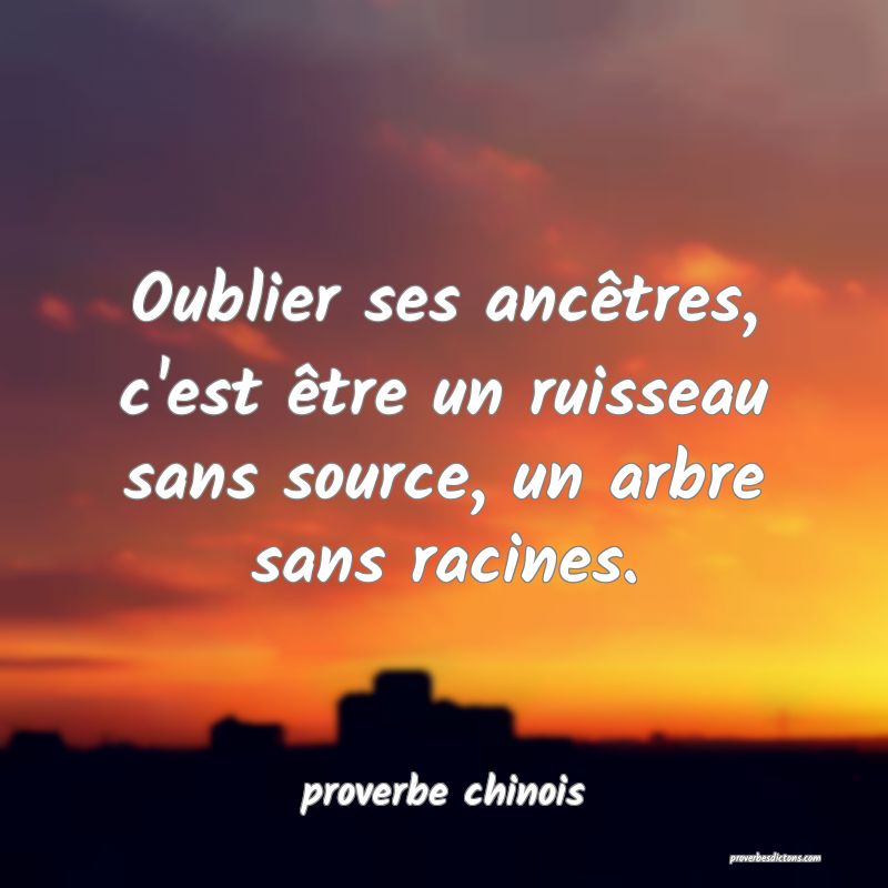  Oublier ses ancêtres, c'est être un ruisseau sans source, un arbre sans racines.