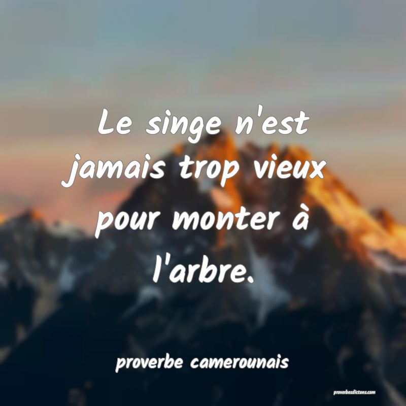  Le singe n'est jamais trop vieux pour monter à l'arbre.
