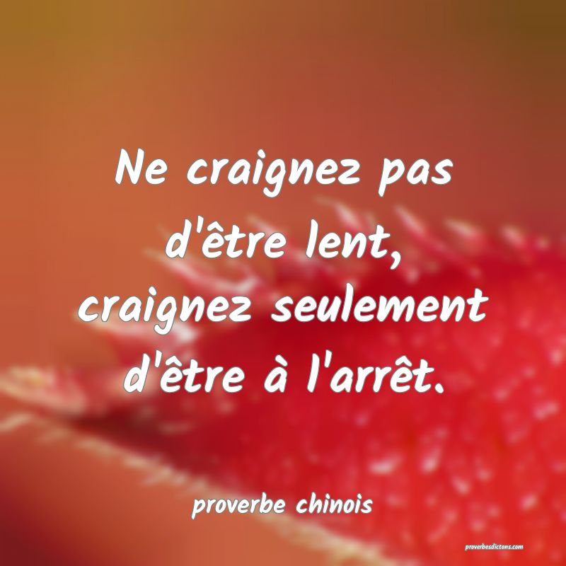  Ne craignez pas d'être lent, craignez seulement d'être à l'arrêt.