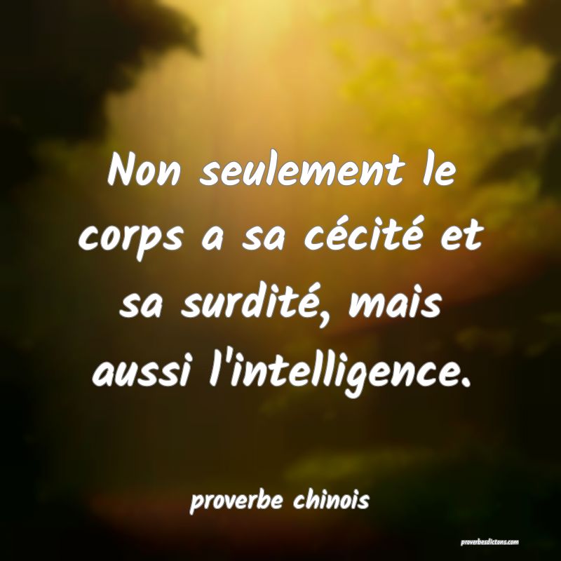 Non seulement le corps a sa cécité et sa surdité, mais aussi l'intelligence.