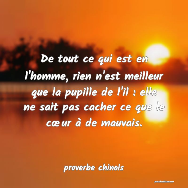 De tout ce qui est en l'homme, rien n'est meilleur que la pupille de l'il : elle ne sait pas cacher ce que le cœur à de mauvais.