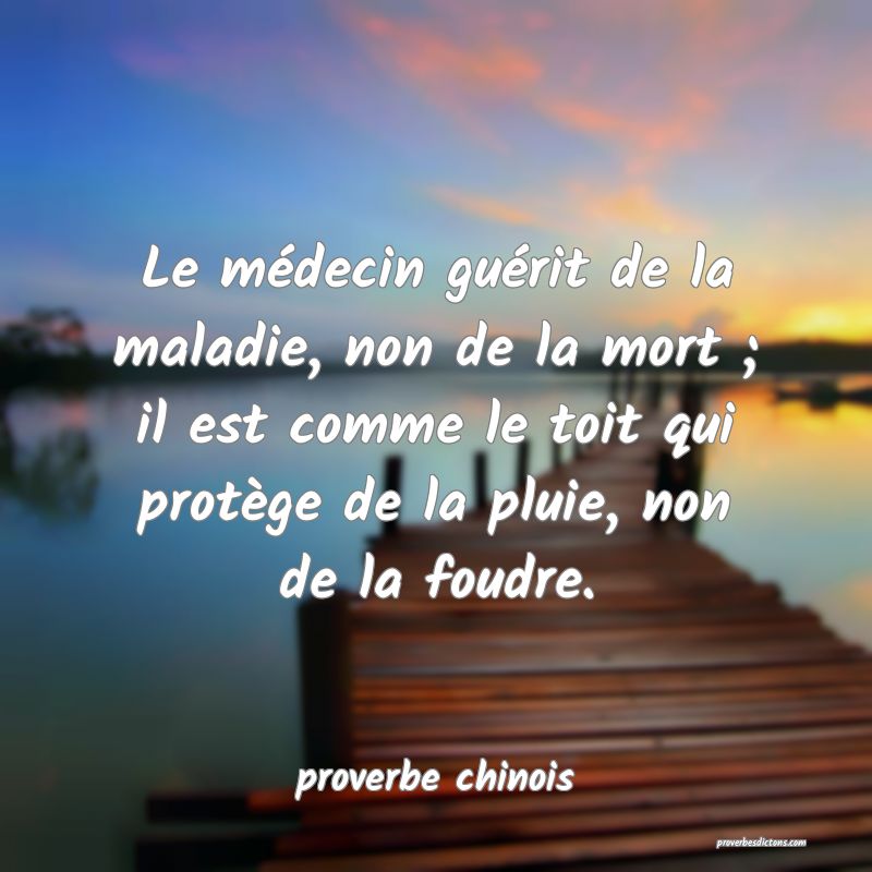  Le médecin guérit de la maladie, non de la mort ; il est comme le toit qui protège de la pluie, non de la foudre.