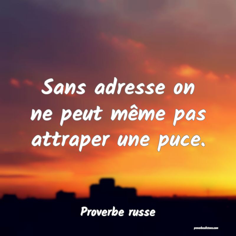  Sans adresse on ne peut même pas attraper une puce.