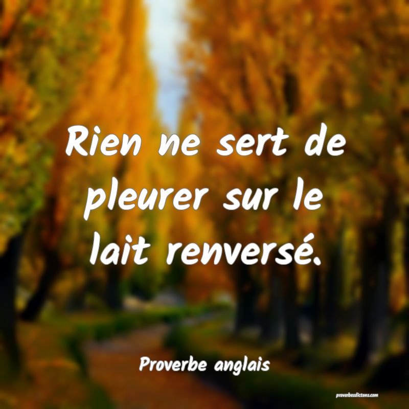  Rien ne sert de pleurer sur le lait renversé.