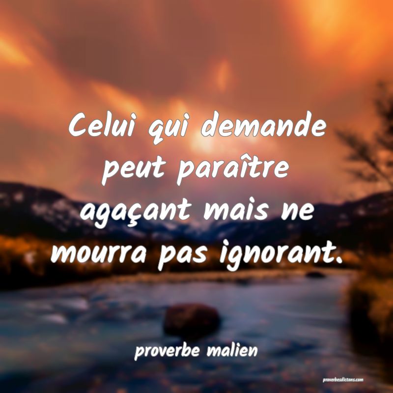  Celui qui demande peut paraître agaçant mais ne mourra pas ignorant.