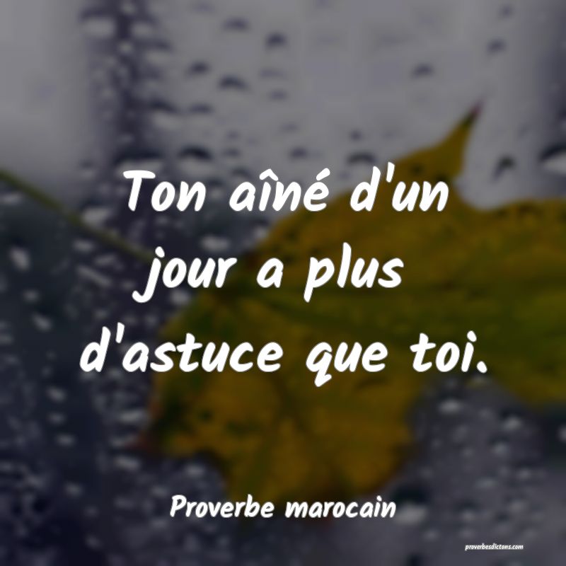  Ton aîné d'un jour a plus d'astuce que toi.
