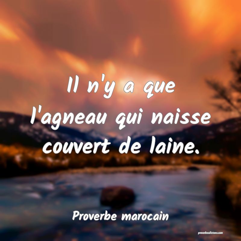 Il n'y a que l'agneau qui naisse couvert de laine.