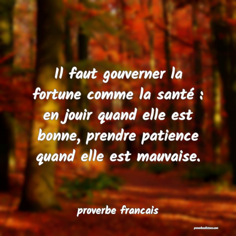  Il faut gouverner la fortune comme la santé : en jouir quand elle est bonne, prendre patience quand elle est mauvaise.