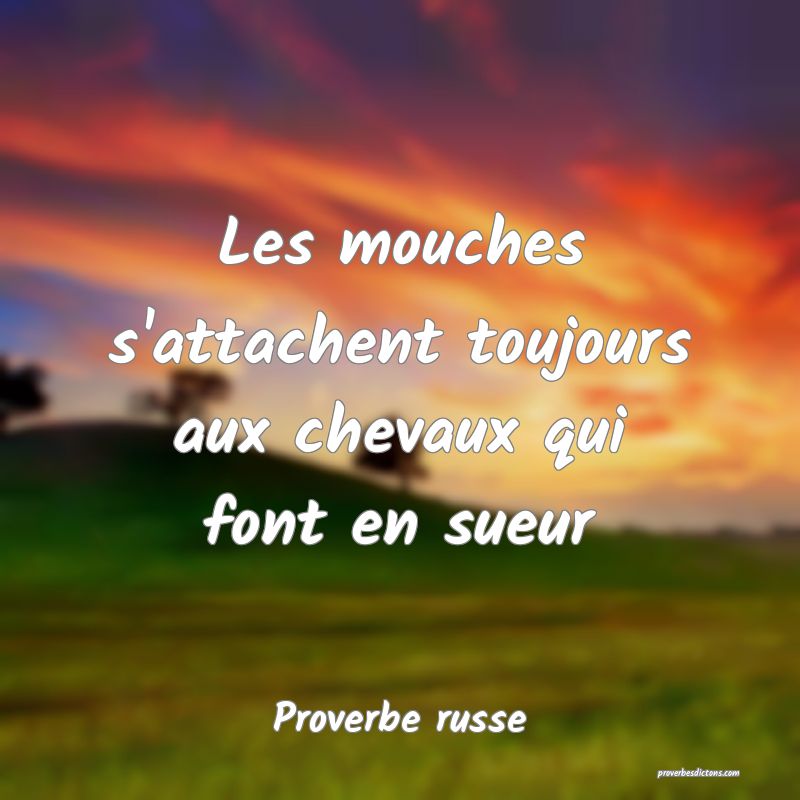  Les mouches s'attachent toujours aux chevaux qui font en sueur