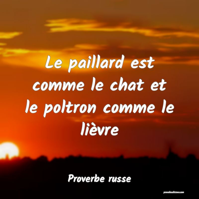  Le paillard est comme le chat et le poltron comme le lièvre