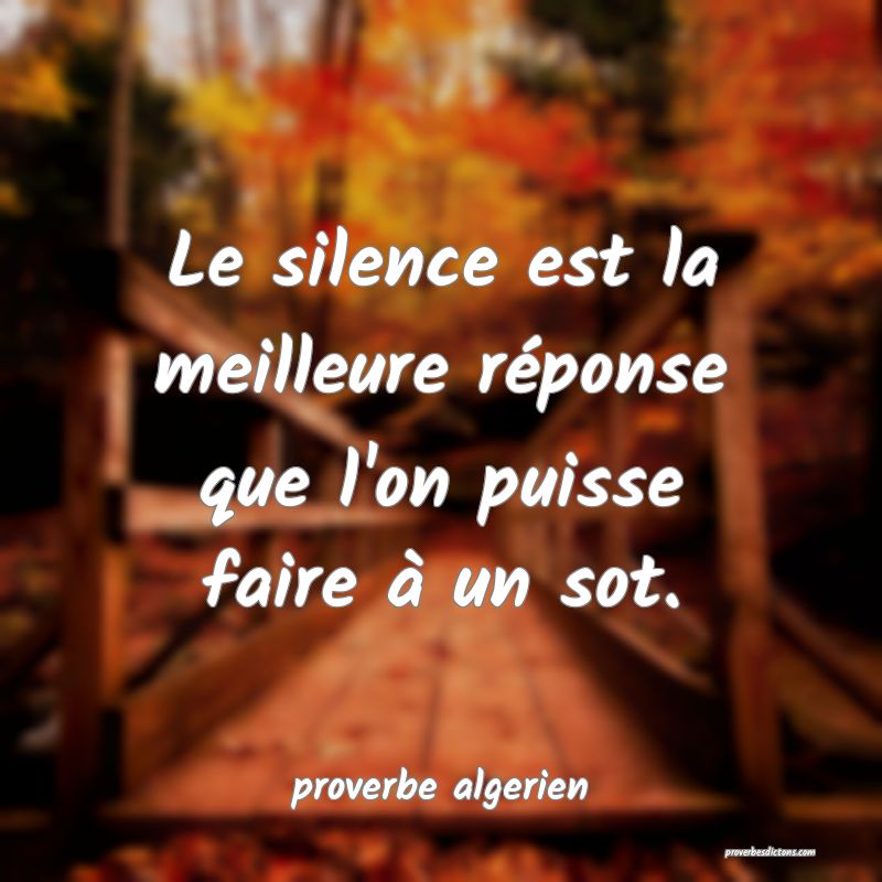  Le silence est la meilleure réponse que l'on puisse faire à un sot.
