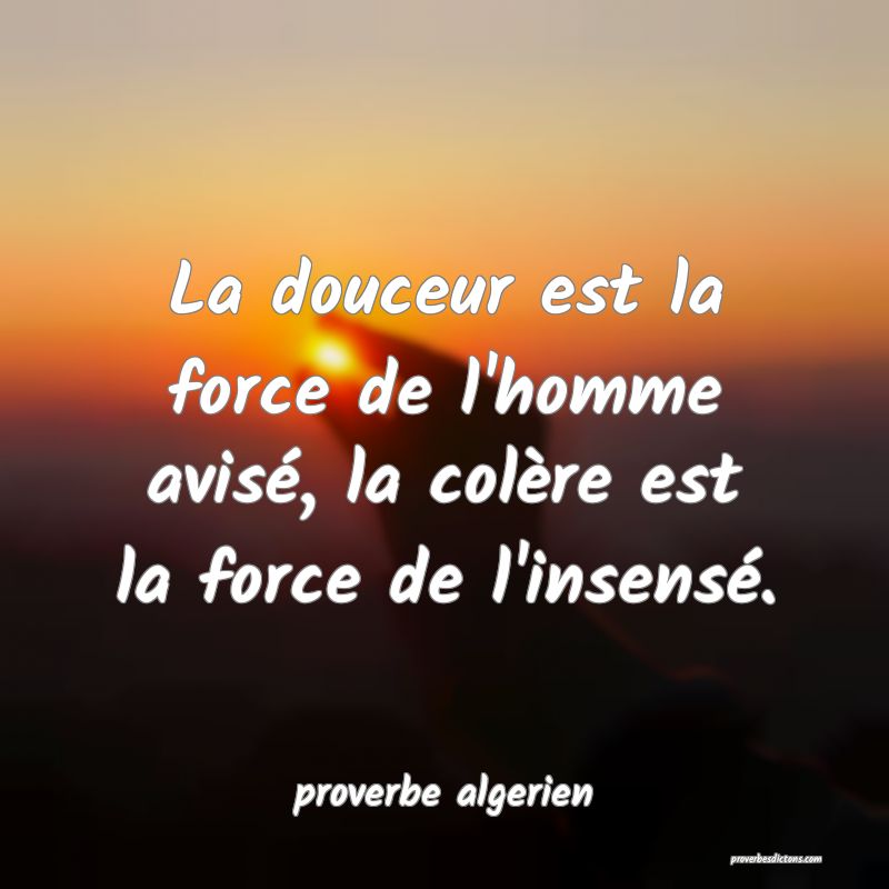  La douceur est la force de l'homme avisé, la colère est la force de l'insensé.