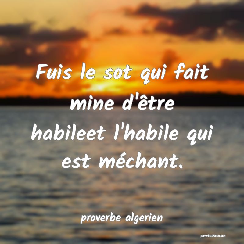  Fuis le sot qui fait mine d'être habileet l'habile qui est méchant.