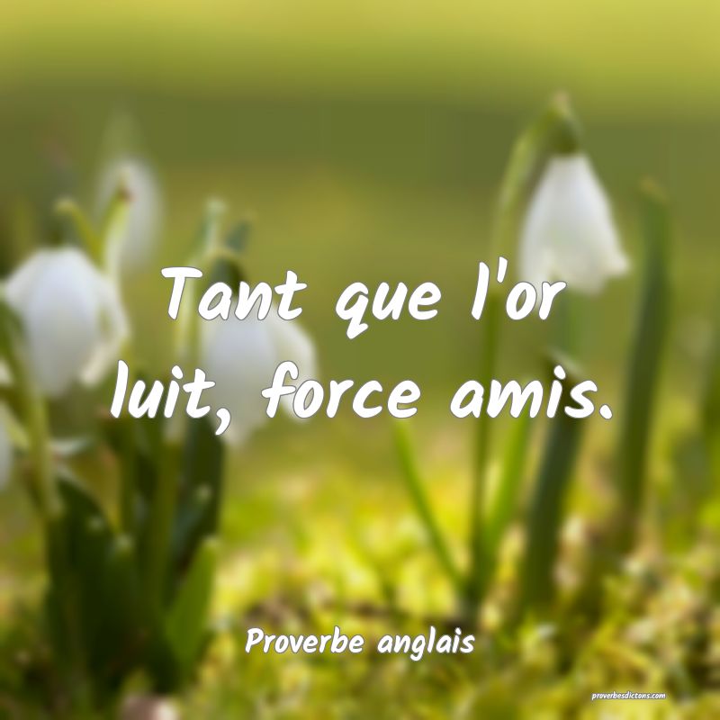  Tant que l'or luit, force amis.