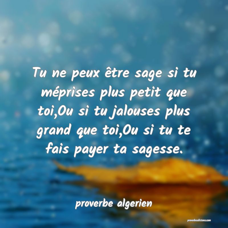 Tu ne peux être sage si tu méprises plus petit que toi,Ou si tu jalouses plus grand que toi,Ou si tu te fais payer ta sagesse.