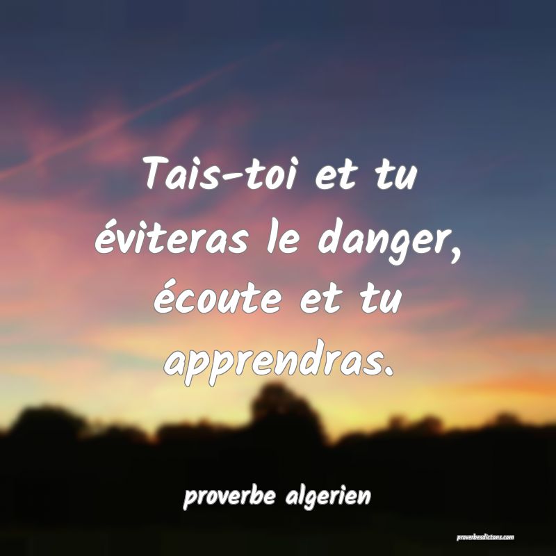  Tais-toi et tu éviteras le danger, écoute et tu apprendras.