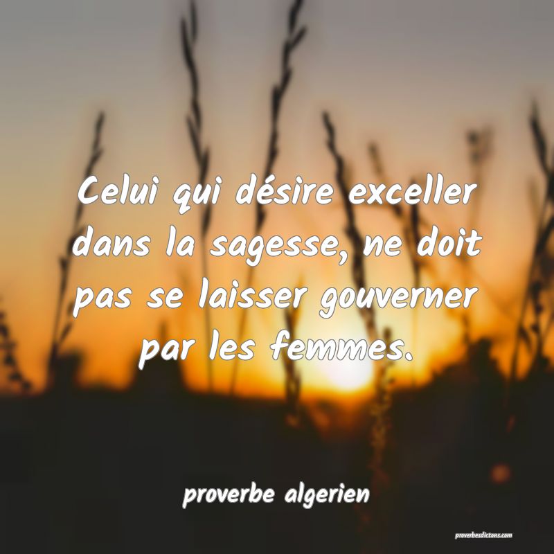  Celui qui désire exceller dans la sagesse, ne doit pas se laisser gouverner par les femmes.