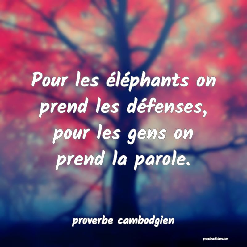  Pour les éléphants on prend les défenses, pour les gens on prend la parole.