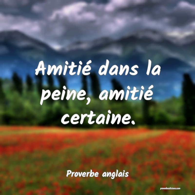  Amitié dans la peine, amitié certaine.