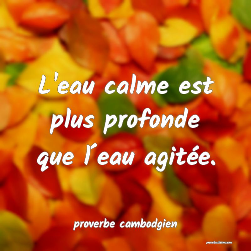  L'eau calme est plus profonde que l´eau agitée.