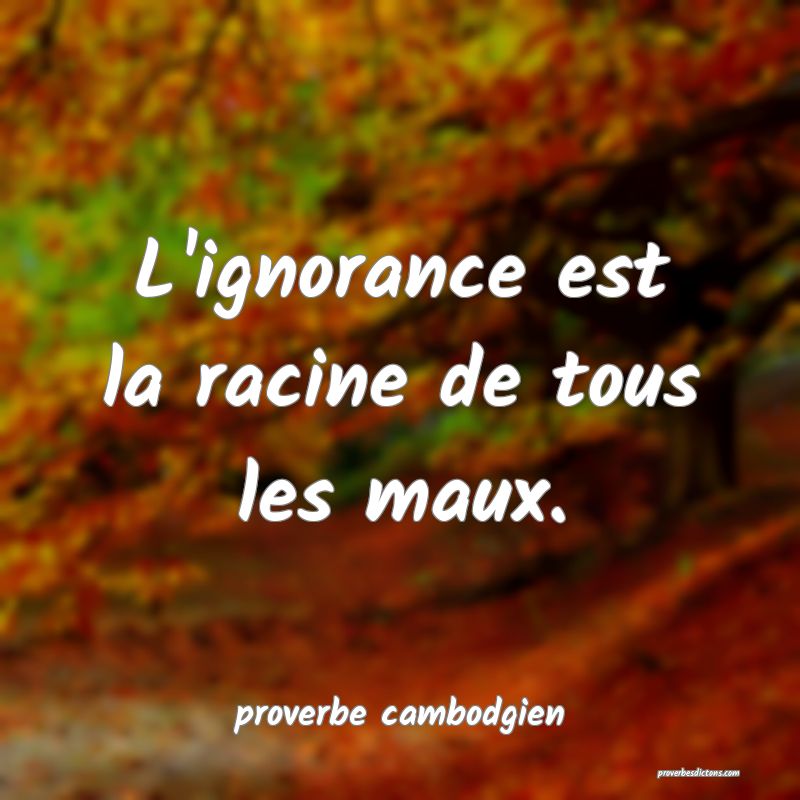  L'ignorance est la racine de tous les maux.