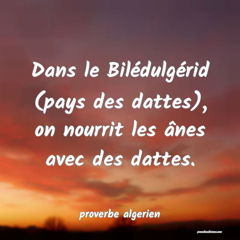  Dans le Bilédulgérid (pays des dattes), on nourrit les ânes avec des dattes.