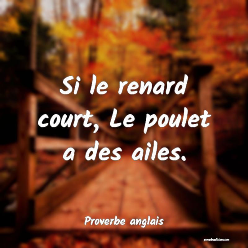  Si le renard court, Le poulet a des ailes.