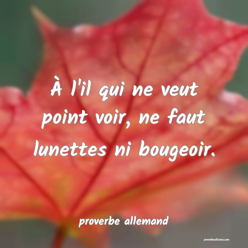 À l'il qui ne veut point voir, ne faut lunettes ni bougeoir.