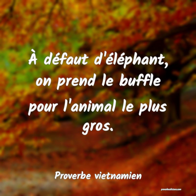  À défaut d'éléphant, on prend le buffle pour l'animal le plus gros.