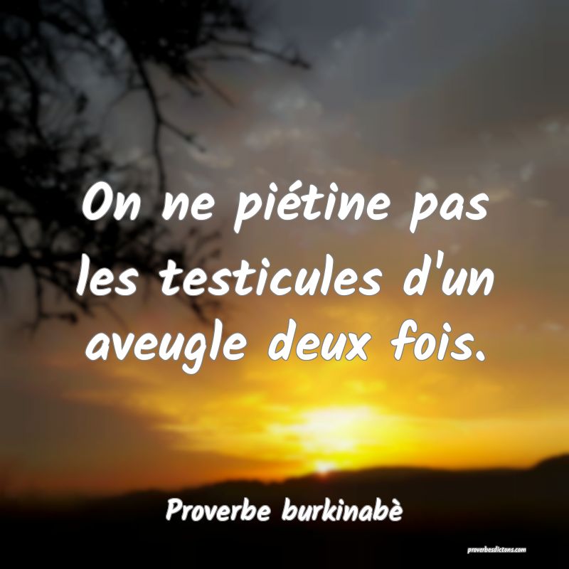  On ne piétine pas les testicules d'un aveugle deux fois.