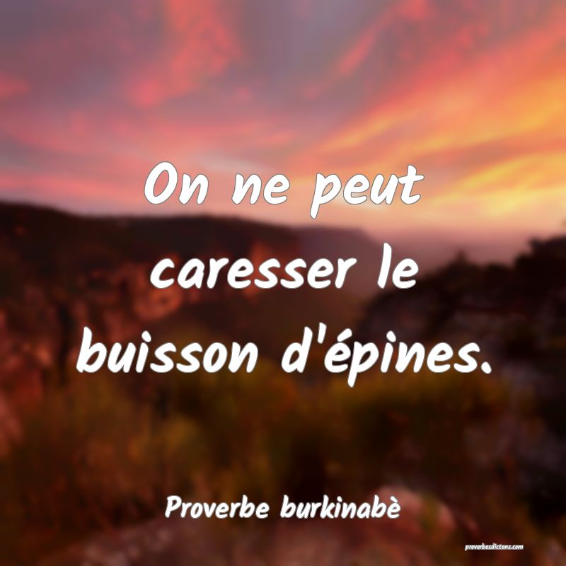  On ne peut caresser le buisson d'épines.