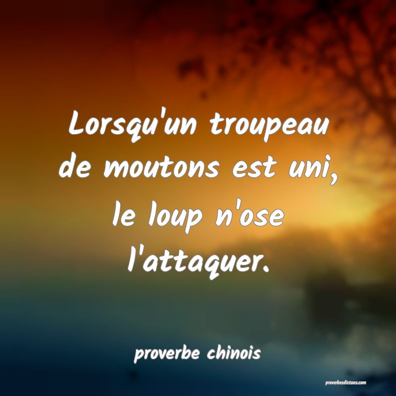  Lorsqu'un troupeau de moutons est uni, le loup n'ose l'attaquer.