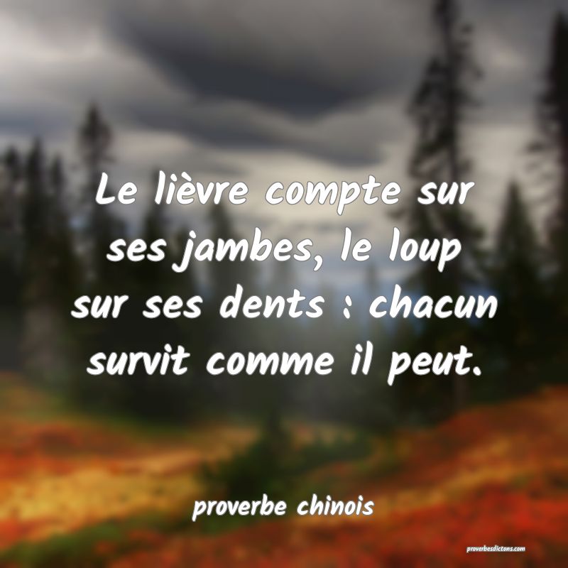  Le lièvre compte sur ses jambes, le loup sur ses dents : chacun survit comme il peut.