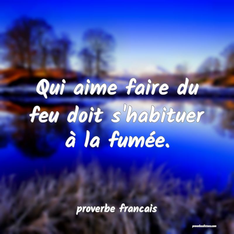 Qui aime faire du feu doit s'habituer à la fumée.